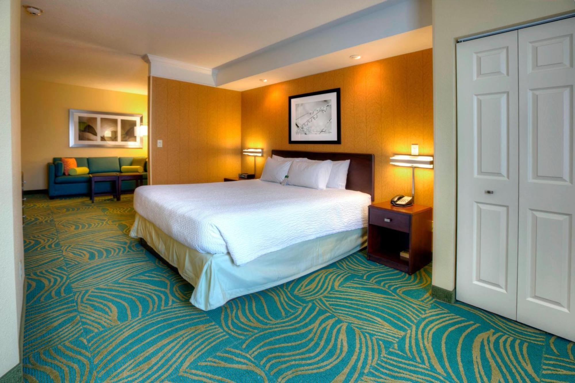 Springhill Suites By Marriott - Tampa Brandon Exterior foto